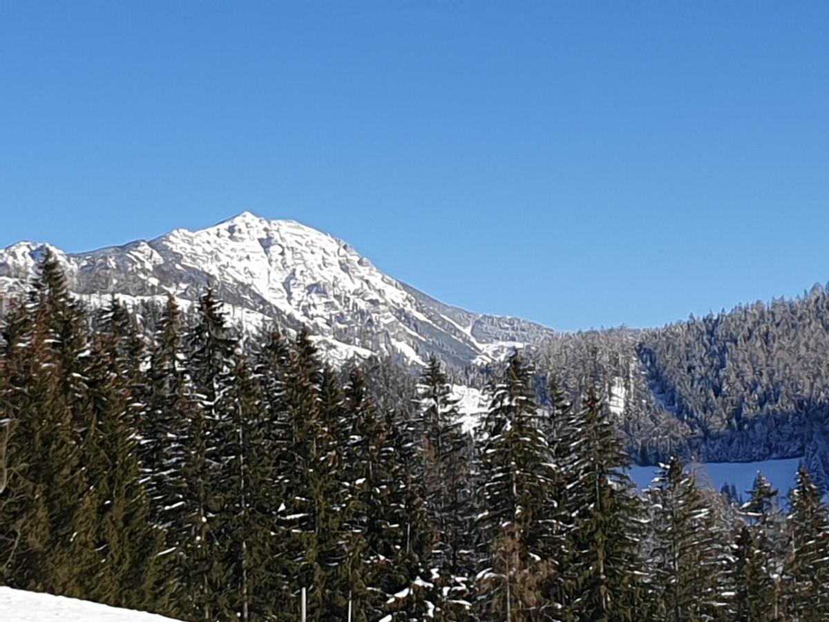 Appartamento Biobauernhof Obereck Göstling an der Ybbs Esterno foto