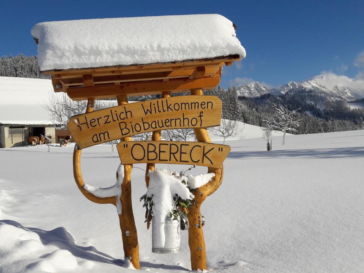 Appartamento Biobauernhof Obereck Göstling an der Ybbs Esterno foto