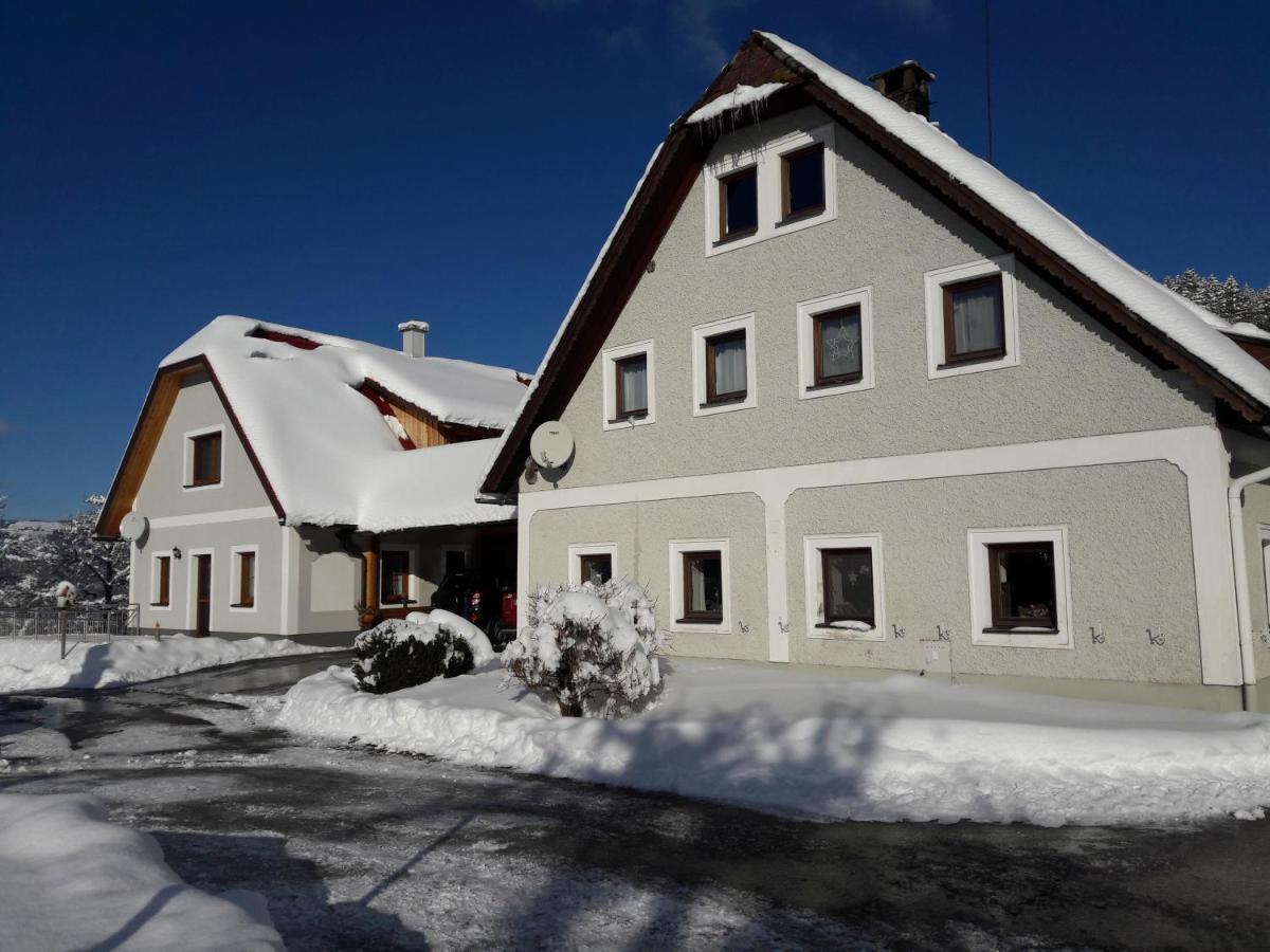 Appartamento Biobauernhof Obereck Göstling an der Ybbs Esterno foto