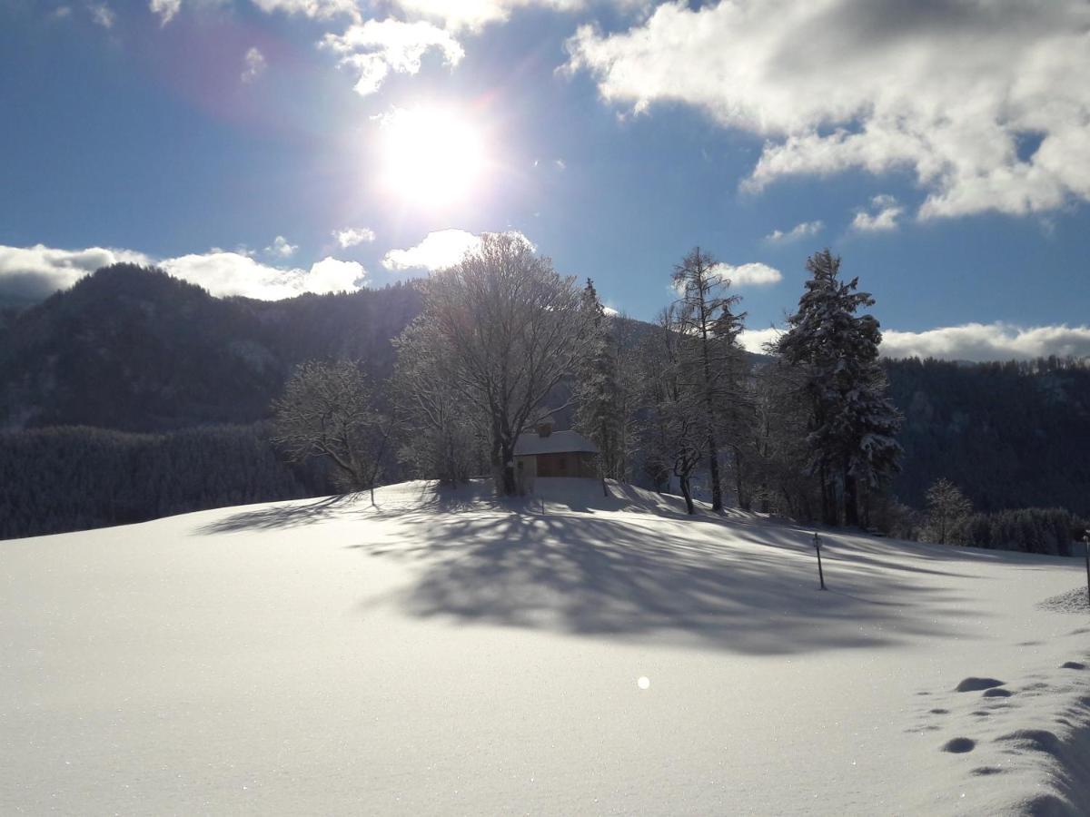 Appartamento Biobauernhof Obereck Göstling an der Ybbs Esterno foto