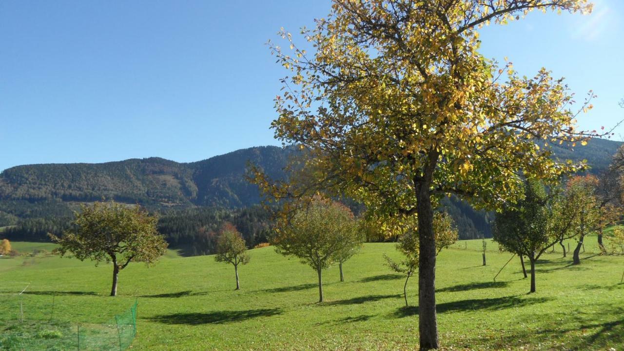 Appartamento Biobauernhof Obereck Göstling an der Ybbs Esterno foto