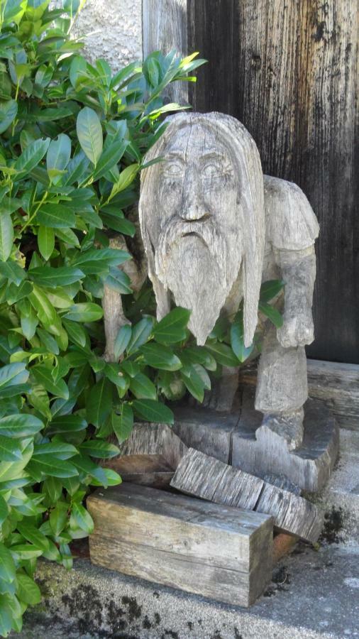 Appartamento Biobauernhof Obereck Göstling an der Ybbs Esterno foto