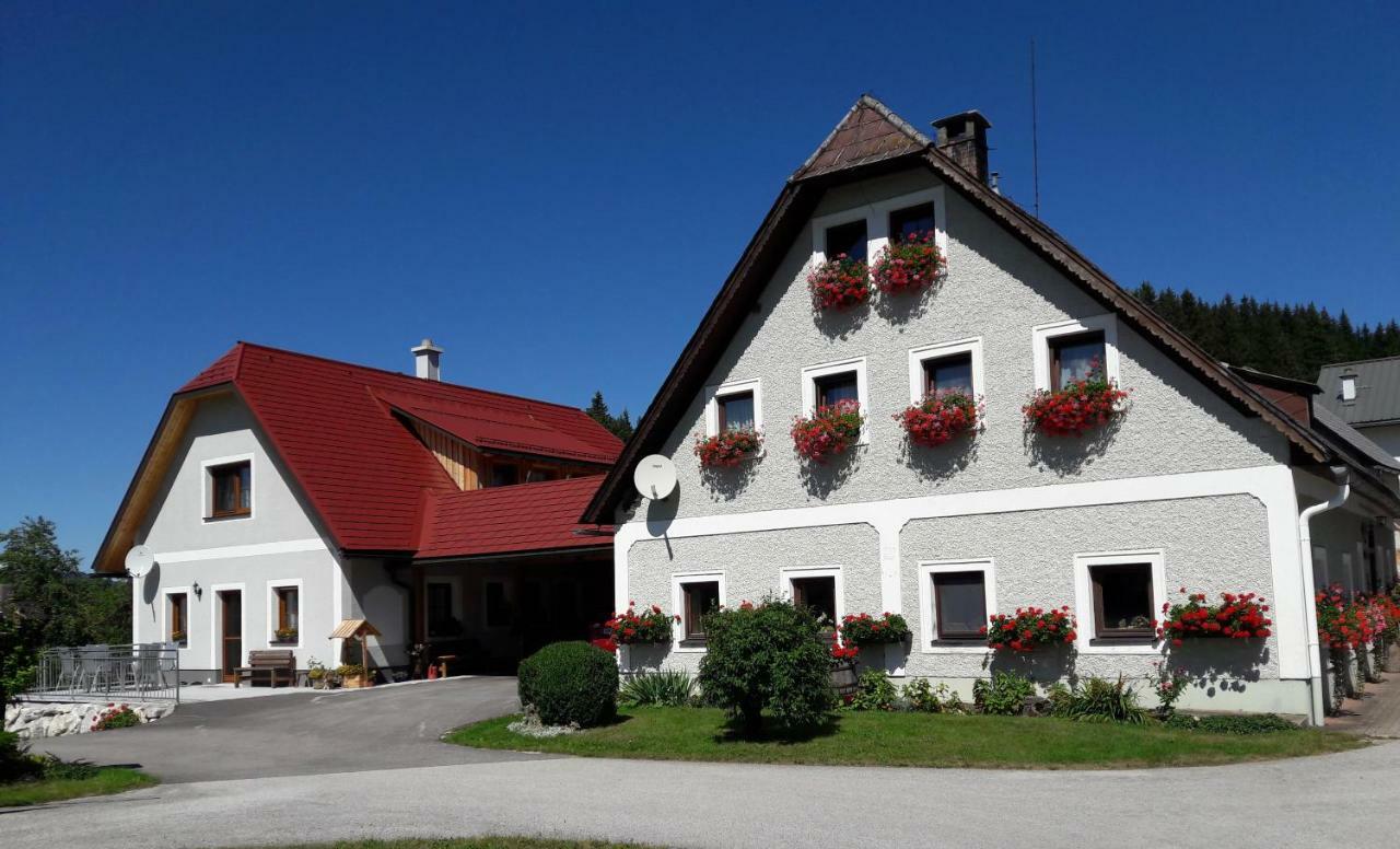 Appartamento Biobauernhof Obereck Göstling an der Ybbs Esterno foto