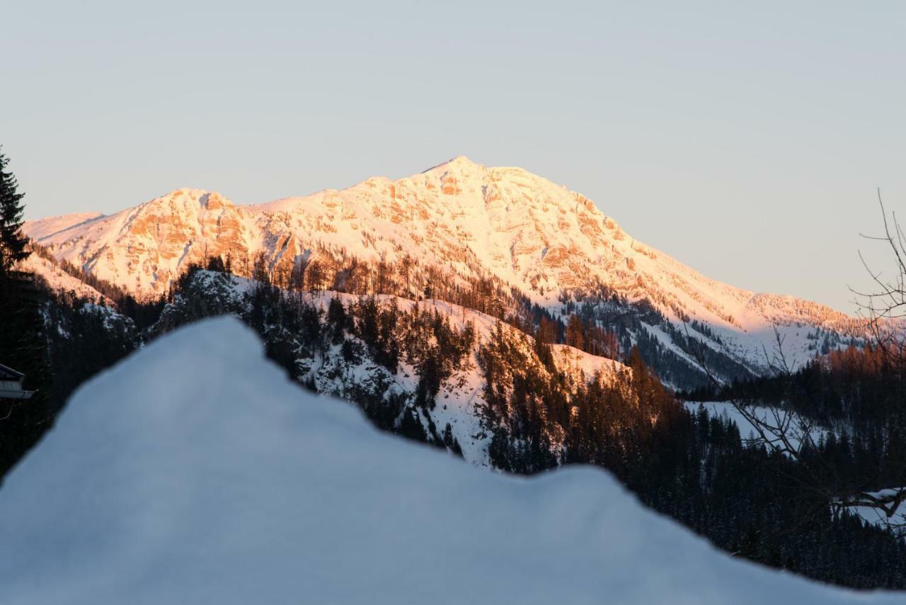 Appartamento Biobauernhof Obereck Göstling an der Ybbs Esterno foto